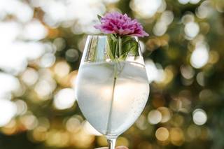 Verveine en Provence - 7
