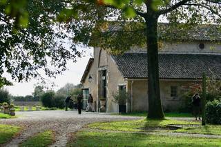 Le Domaine de Mauprié - 9