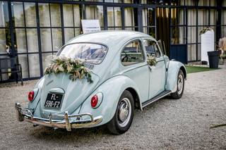 Elégance Vintage - 6