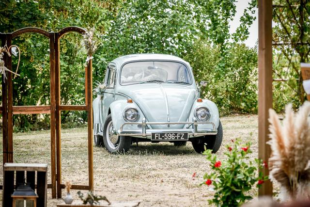 Elégance Vintage - 4