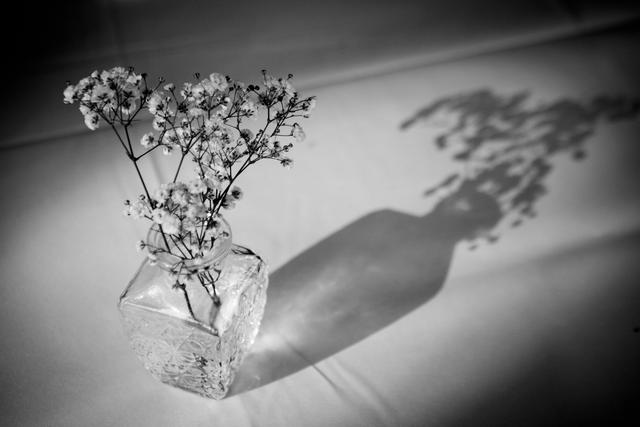 Amélie Photographie - 4