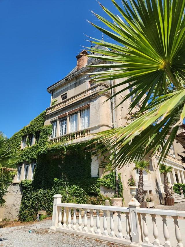 Château Joyeux de Violet - 2