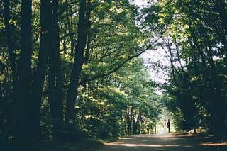 JCMagnouloux Photography - 19