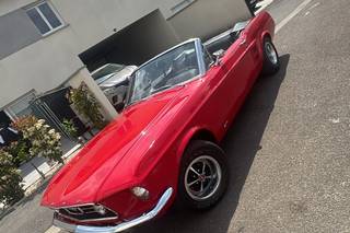Mustang Wedding - 6