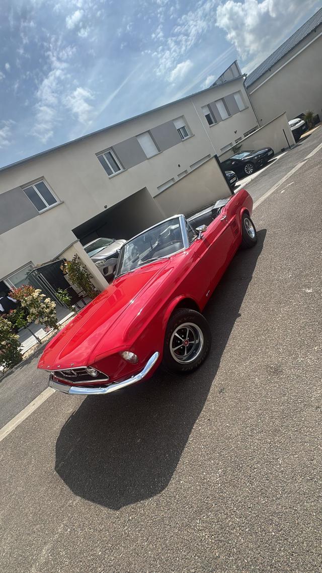 Mustang Wedding - 2