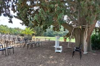 Cristel Events - 15