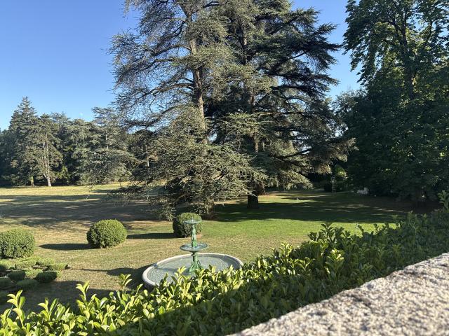 Domaine de Chanille - 1