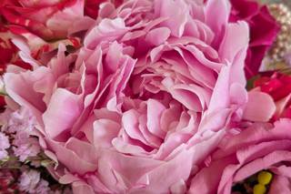 Le Comptoir des Fleurs - Fleuryland - 8