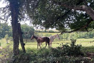 Château Sauvéméa - 7