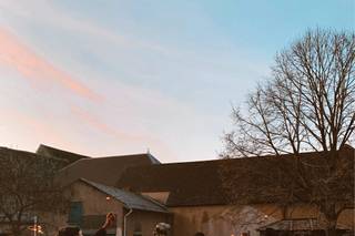 La Maison Royale - 12