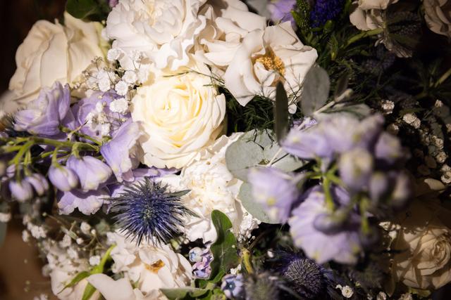 Tweedia Fleuriste - 1