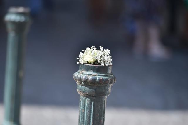 A Fleur de Pots - 3