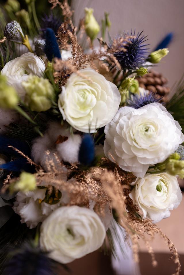 Cathie LJ Photographie - 4
