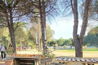 Domaine des Aspres - Mas Del Gall - 10