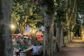 Domaine Pech Laurier - 21