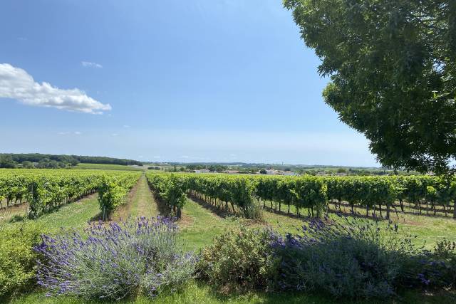 Le Logis de la Grosse Pierre 3