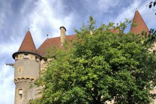 Château de Saint-Amant - 2