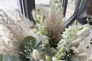 Fleurs de Provence - 7