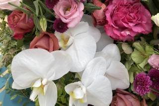 Les Fleurs d’Eva - 5