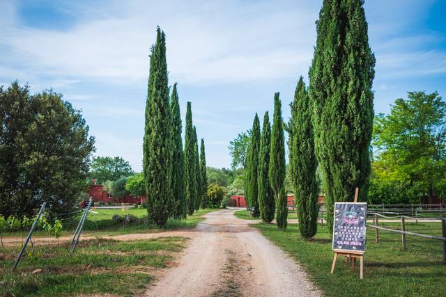 Domaine des Bruguières 5