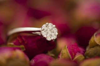 Daniel B Photographe - 10