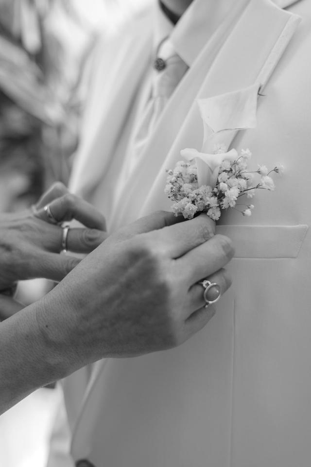 Dream Wedding - 2