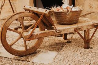 Lisa Mary Photographie - 6