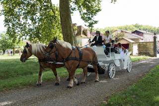 Calèches Autrot'Mant - 10