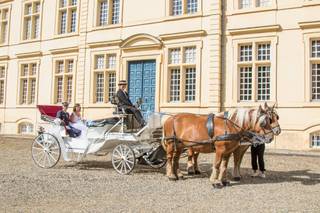 Calèches Autrot'Mant - 11