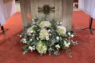 Coton et Coquelicot - 22