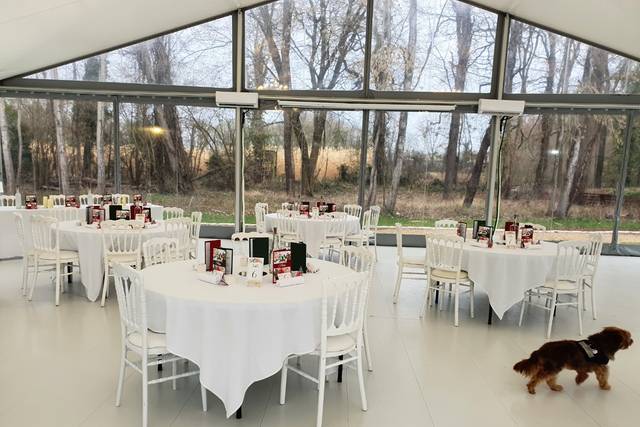 Domaine des Deux Tours 4