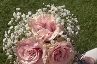 Nicole Fleurs - 24