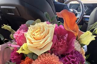 Jantzen Fleurs - 15