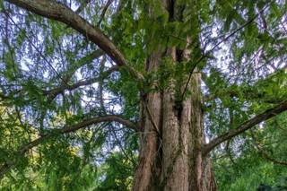 Château de Remaucourt - 9