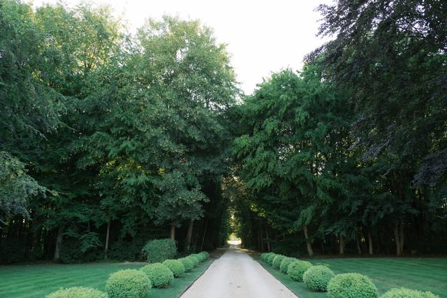 Château de Bonaventure - 4