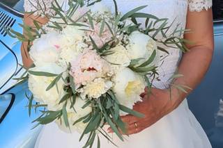 Fleurs de Provence - 15
