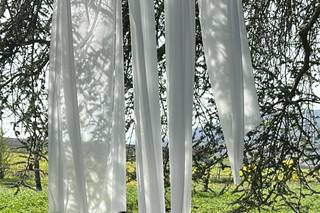 Happily Ever After Weddings - 4
