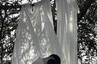 Happily Ever After Weddings - 5