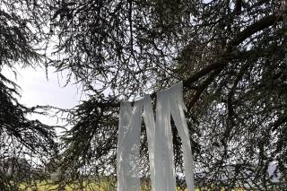 Happily Ever After Weddings - 6