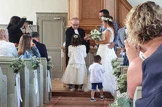 Coton et Coquelicot - 27