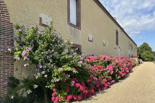 Domaine de la Revardiere - 10