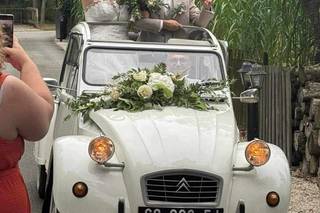 Champagne Car Vintage - 2