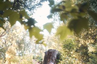 Life Focus Photographe - 6