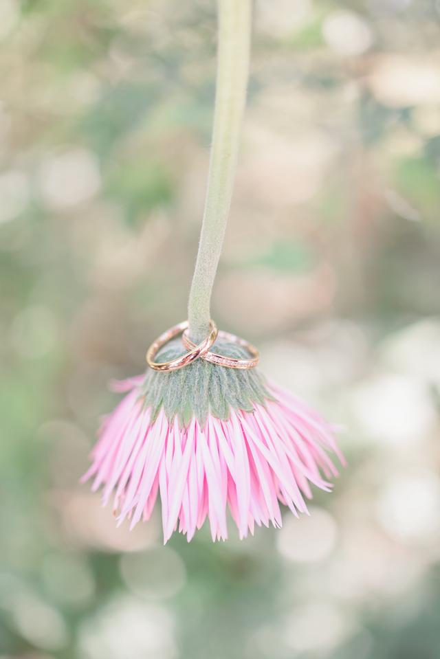 MJP Photographie - 2