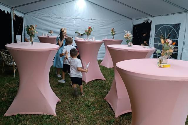 Carole Wedding Planner 3
