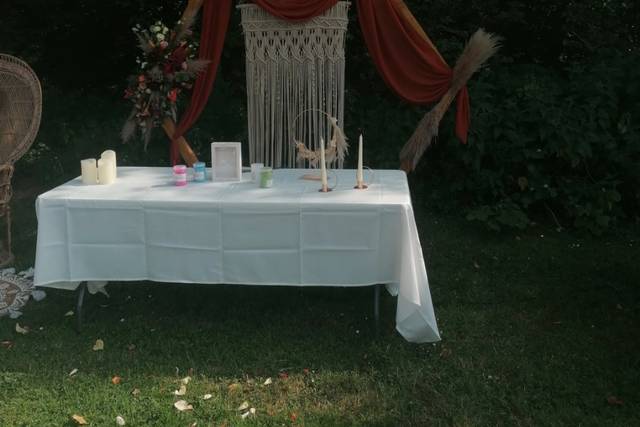 Carole Wedding Planner 4