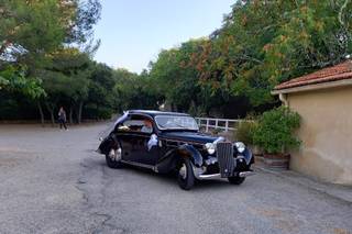 Dandy's Cars - 6