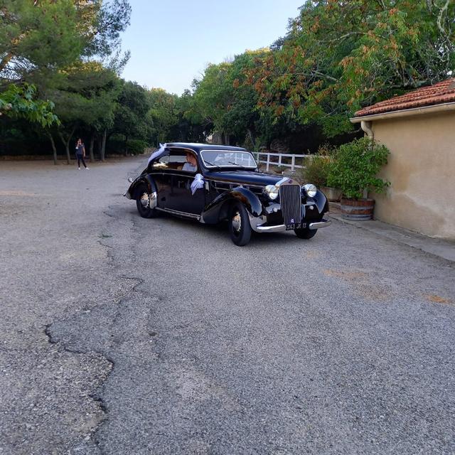 Dandy's Cars - 2