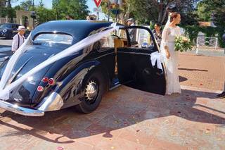 Dandy's Cars - 7