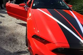 RedStang - 5